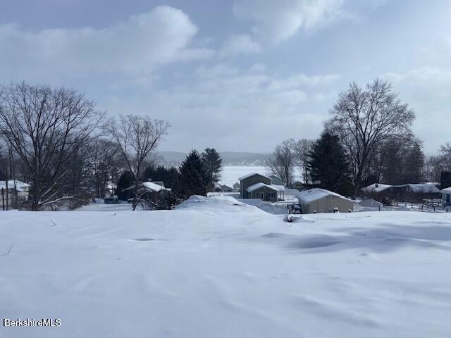 Image 3: IMG_8658