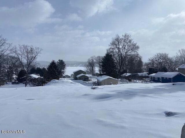 Image 3: IMG_8659