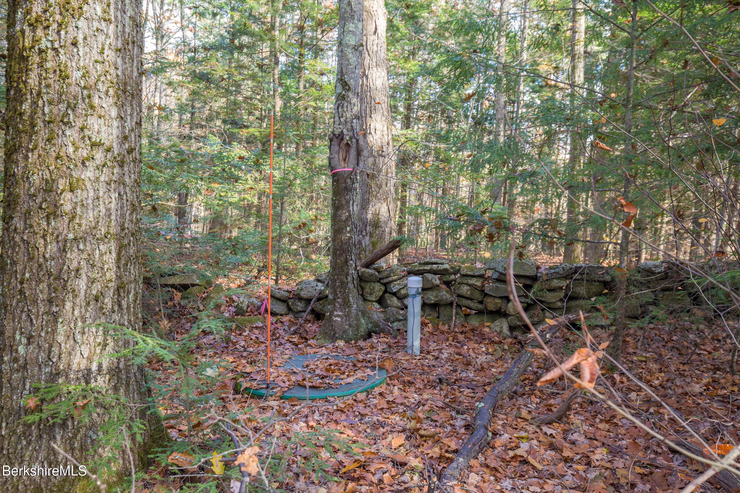 Image 4: Ready for electricity