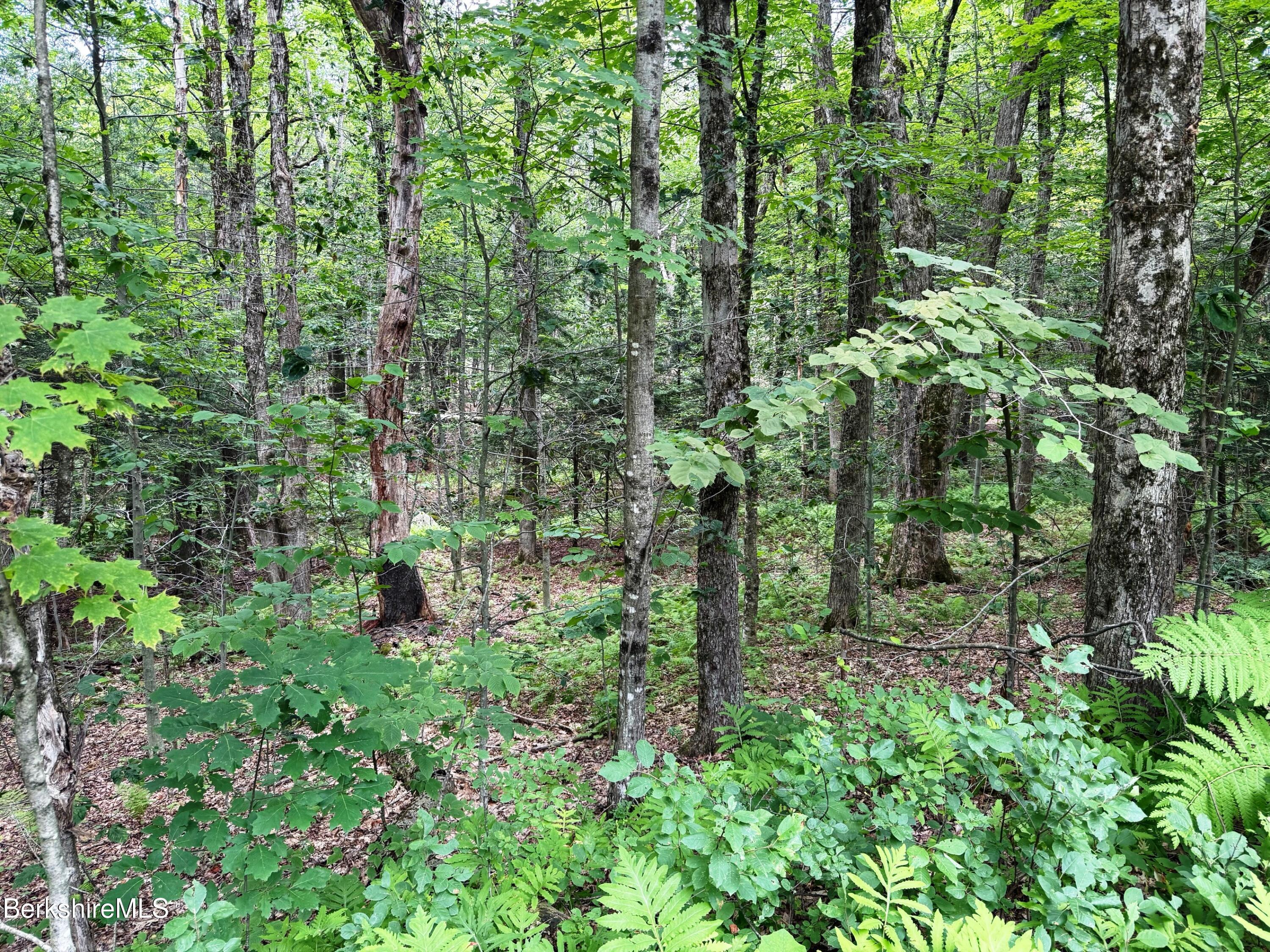 Image 4: extra lot comes with purchase