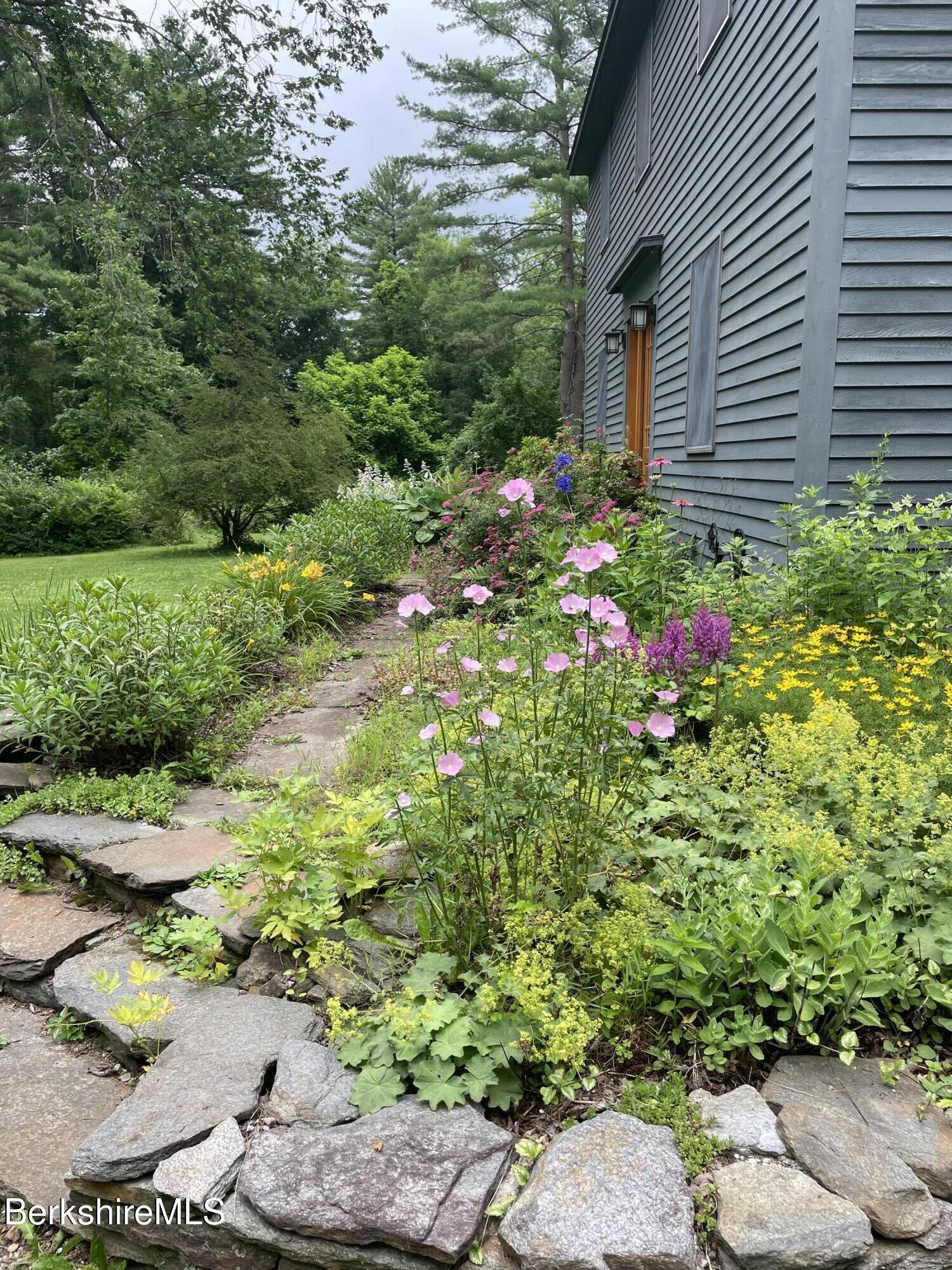 Image 3: IMG_7333 (2)
