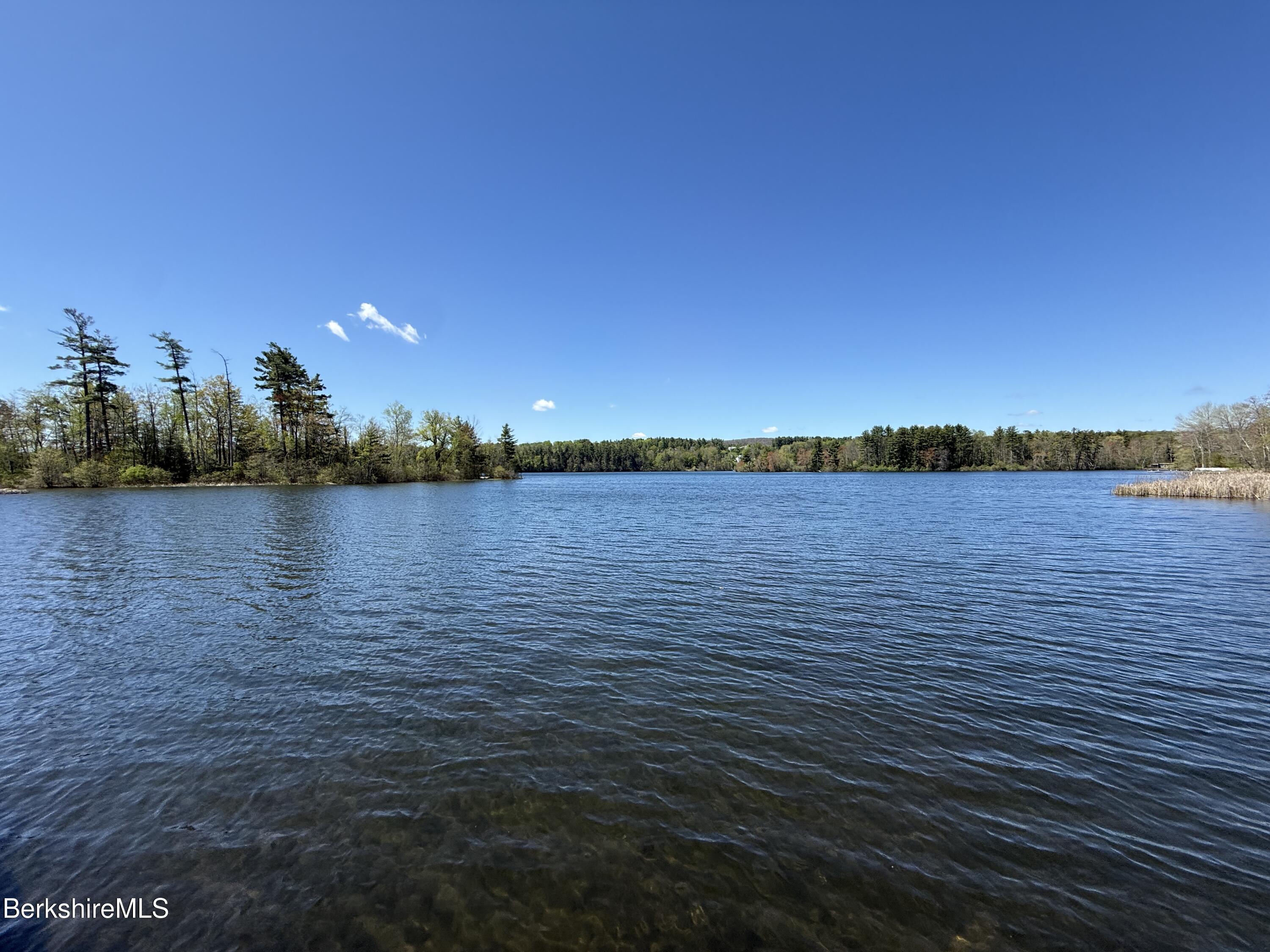 Image 4: IMG_8995 2