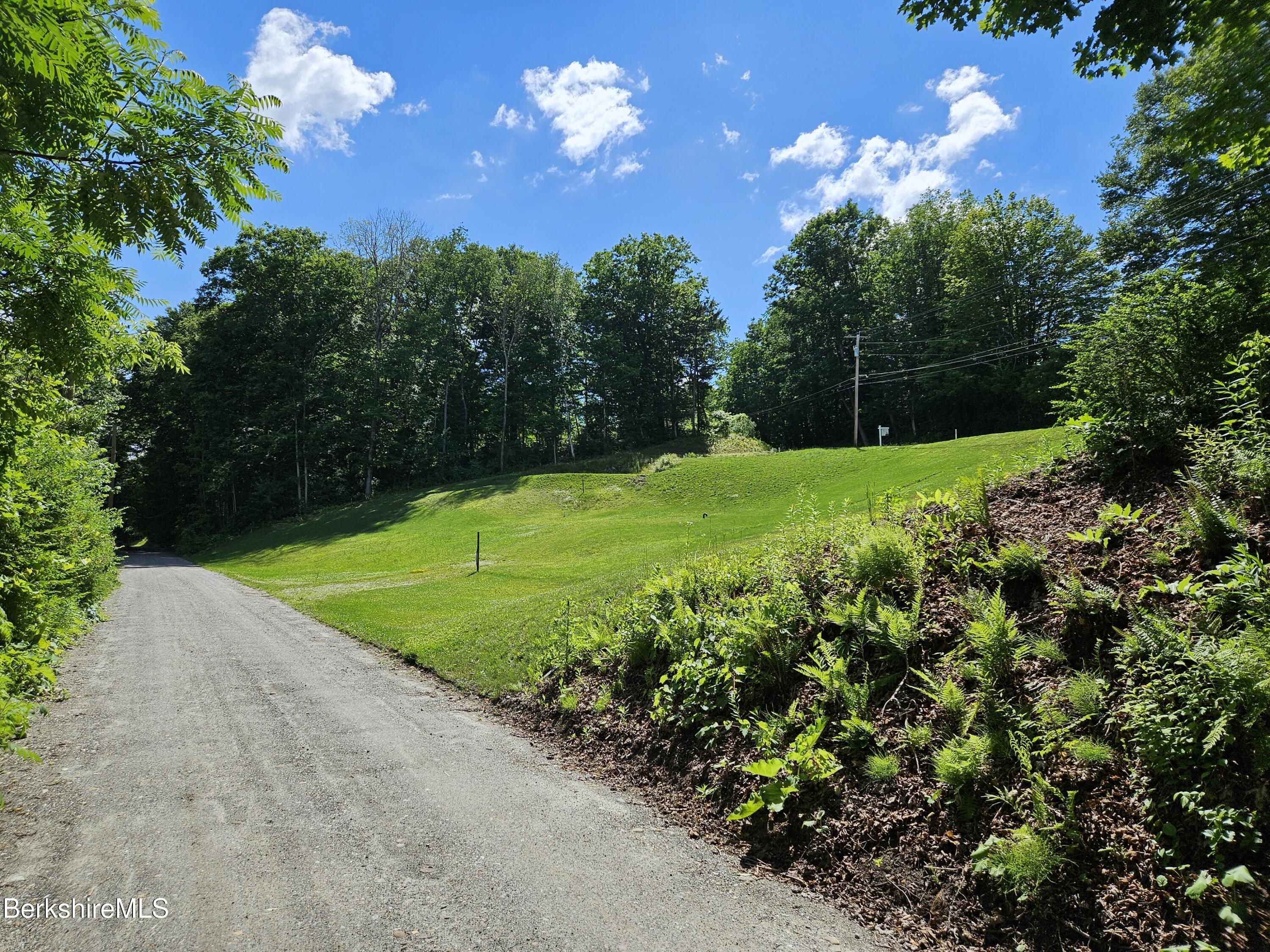Image 4: Cleared Building Site