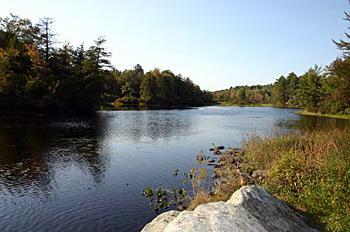 Image 1: Hayden Pond