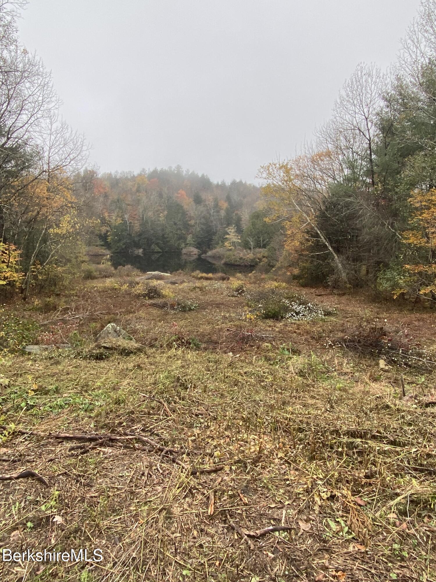 Image 4: Hayden Pond Otis_1