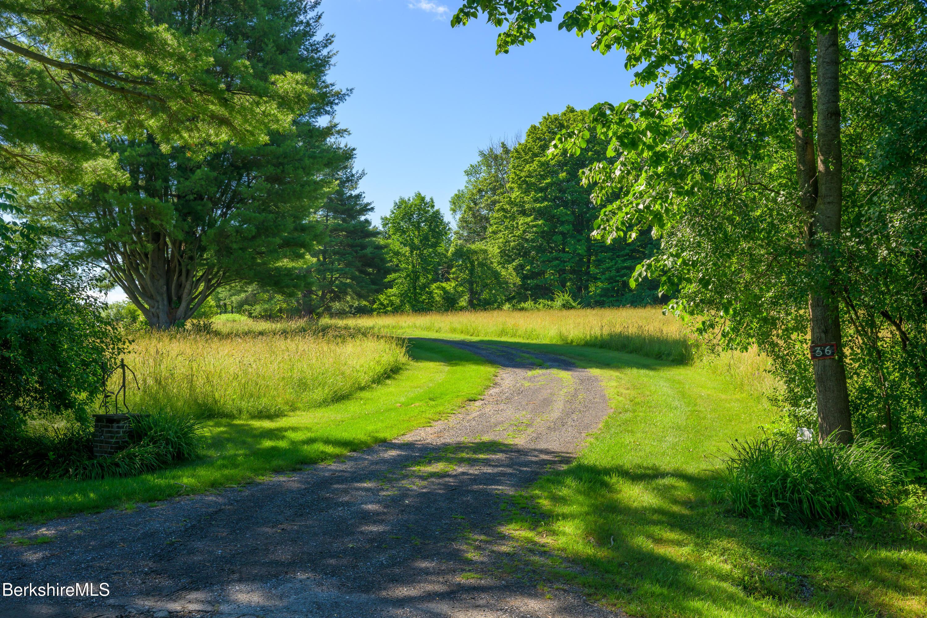 Image 2: Bucolic driveway