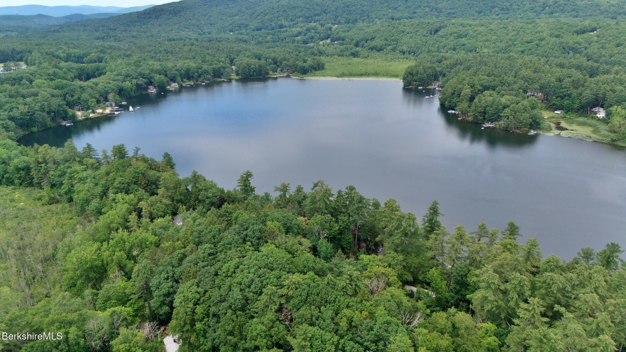 Image 4: 25_Pine5LR
