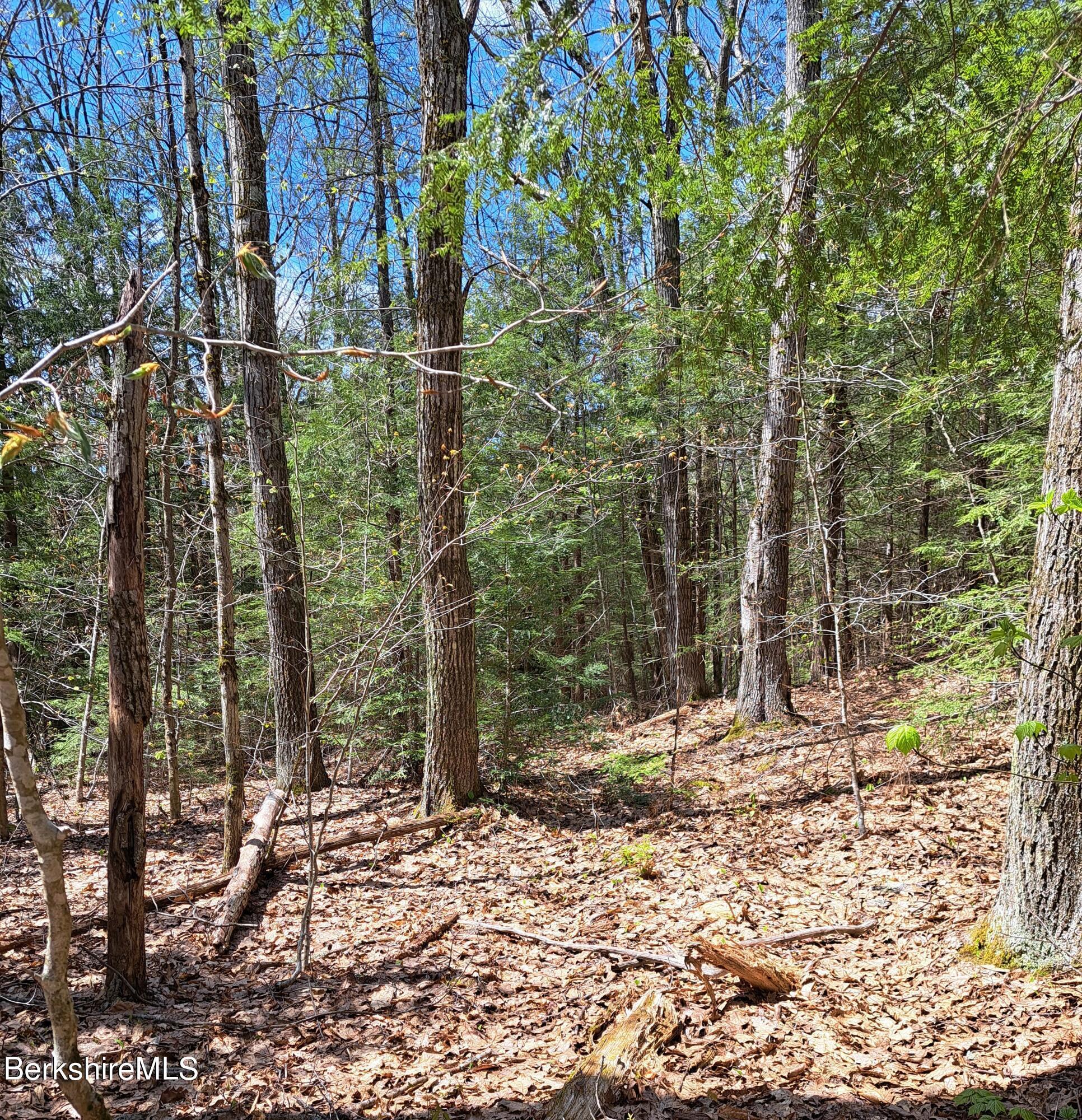 Image 1: land