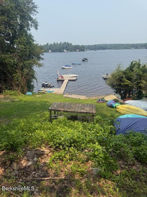 Image 4: Deeded Big Pond Access