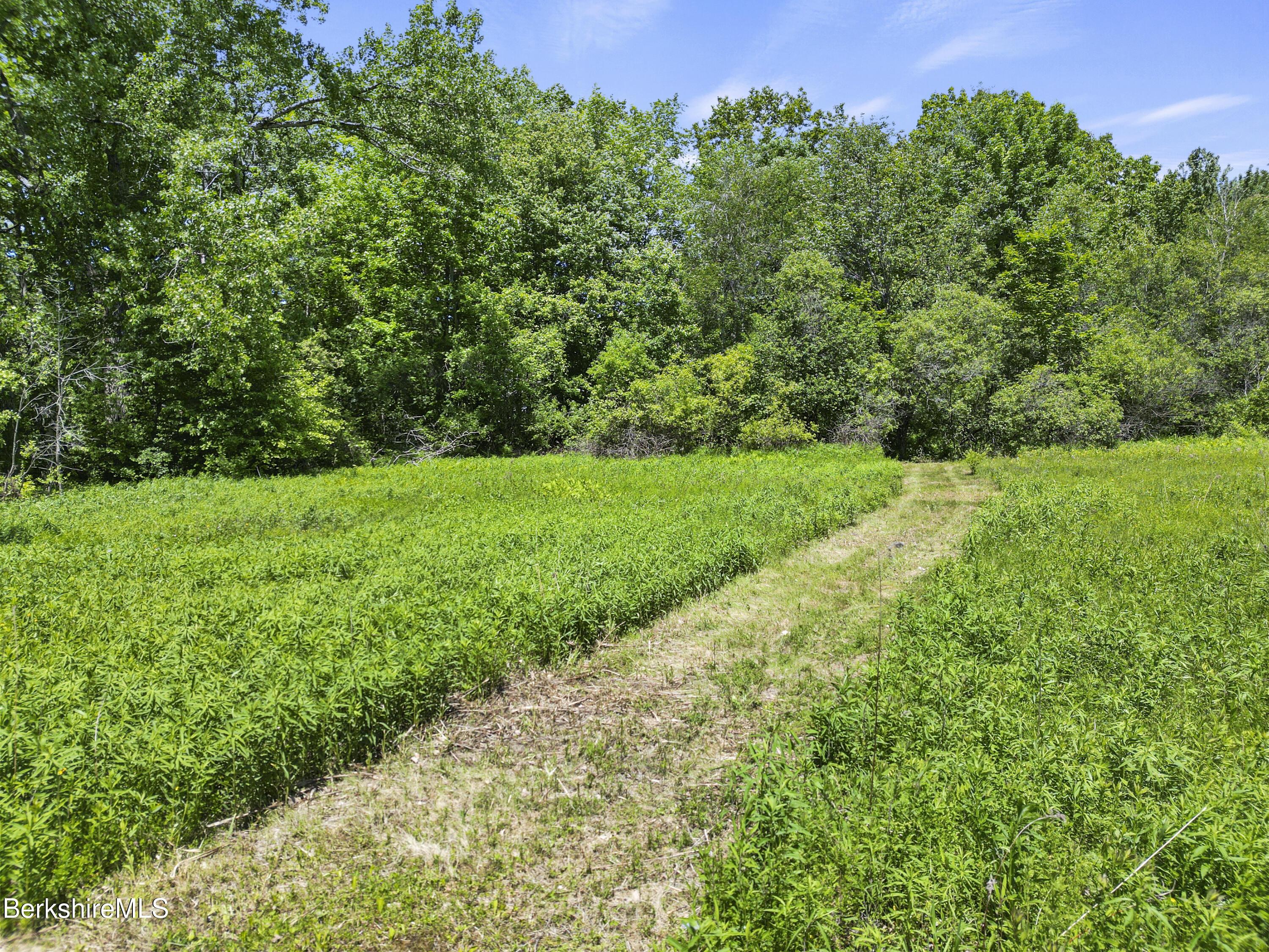 Image 4: Aerial View Access Path