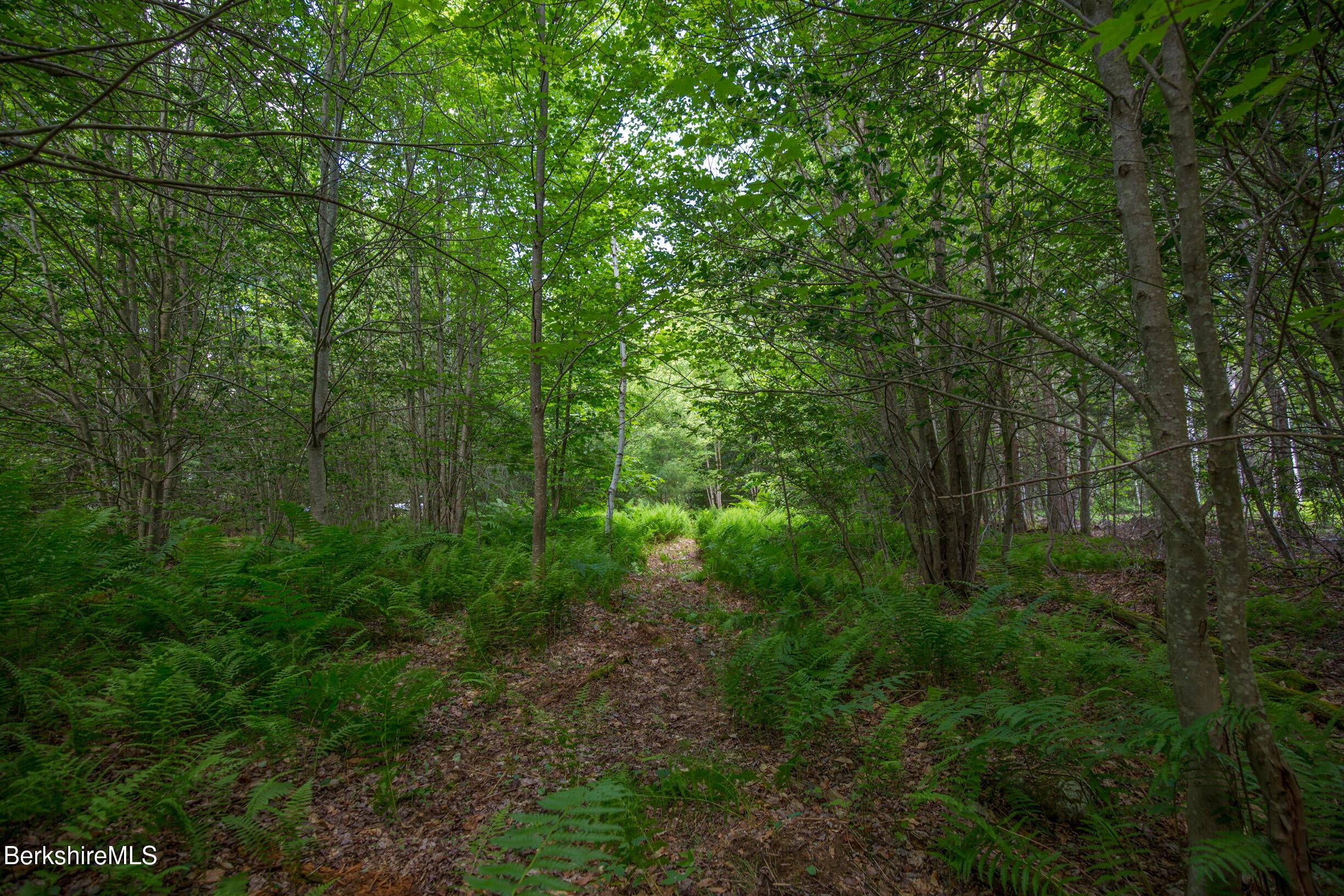 Image 1: Path