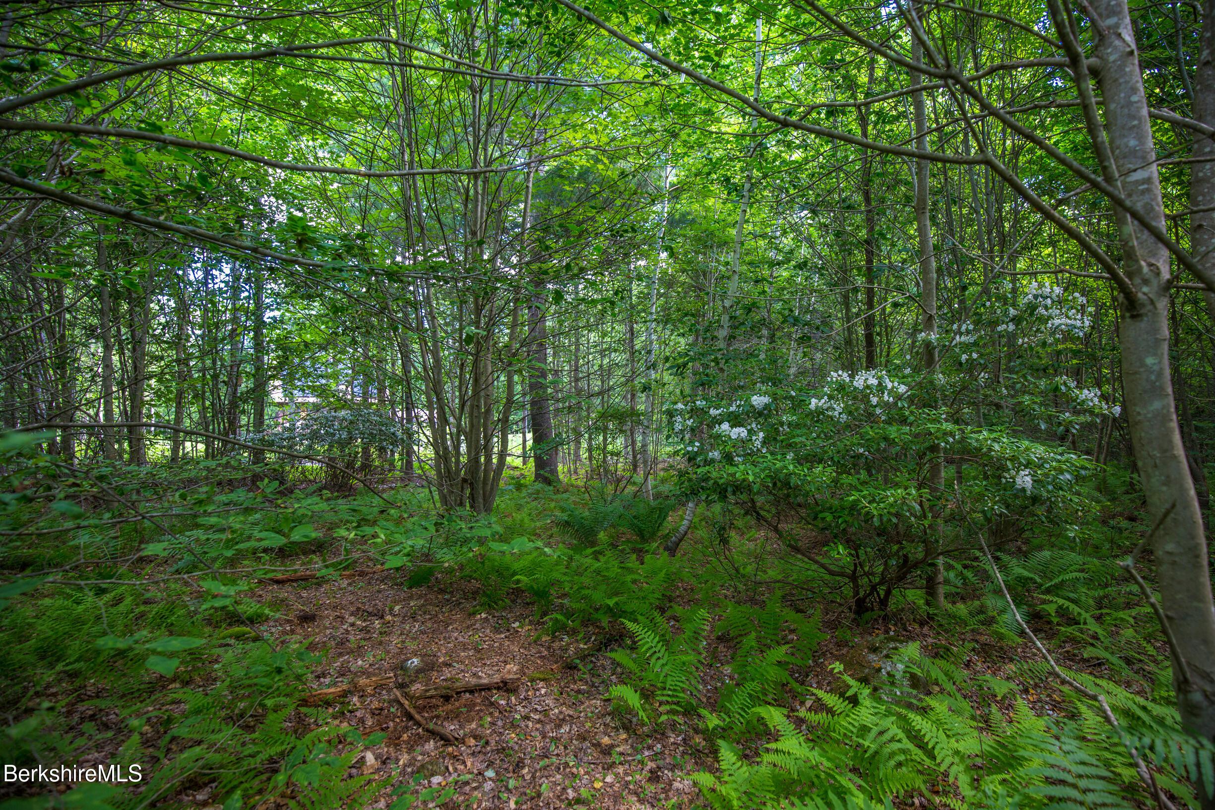 Image 2: Lot