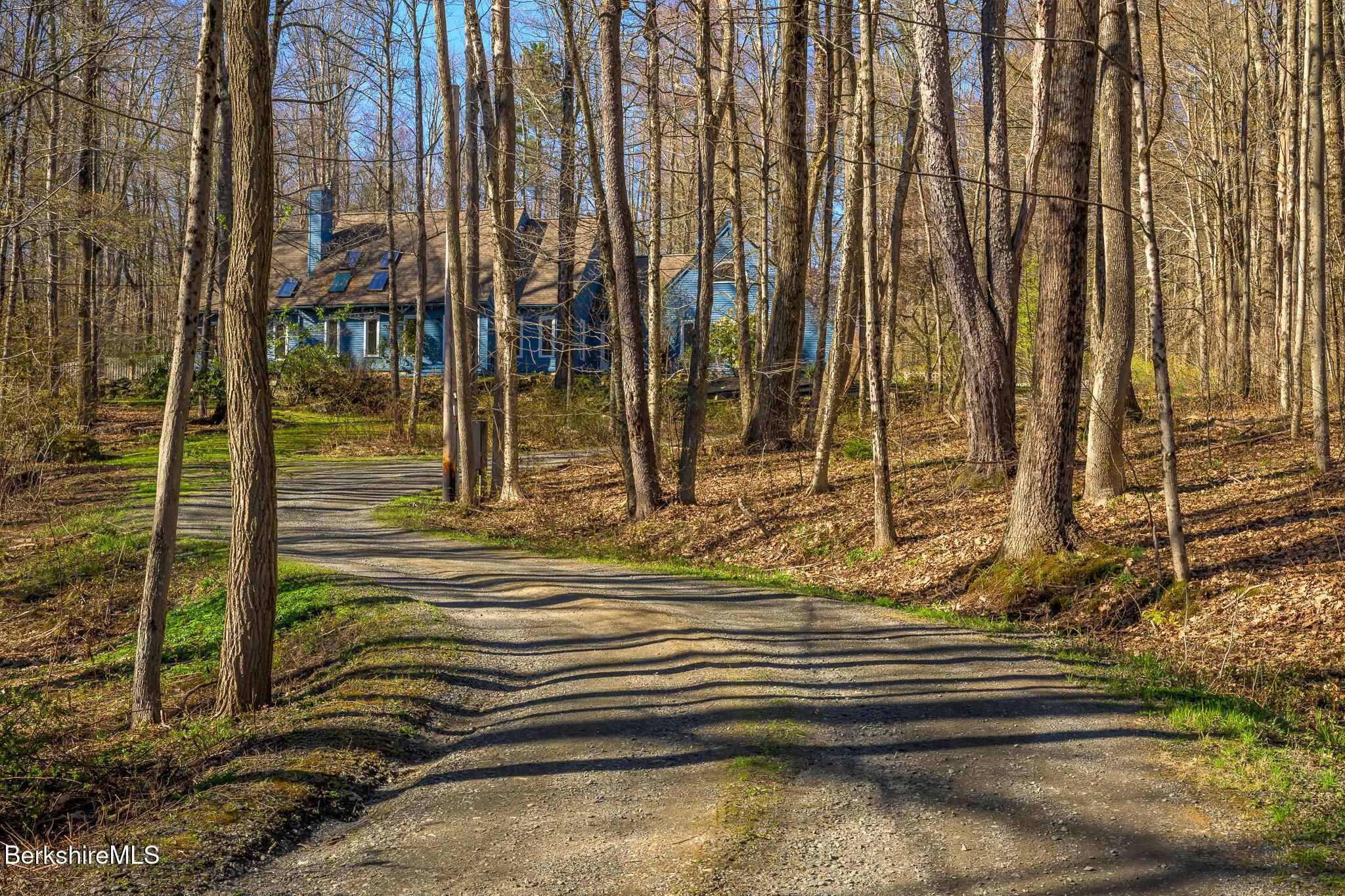 Image 4: DRIVEWAY UP TO THE HOUSE