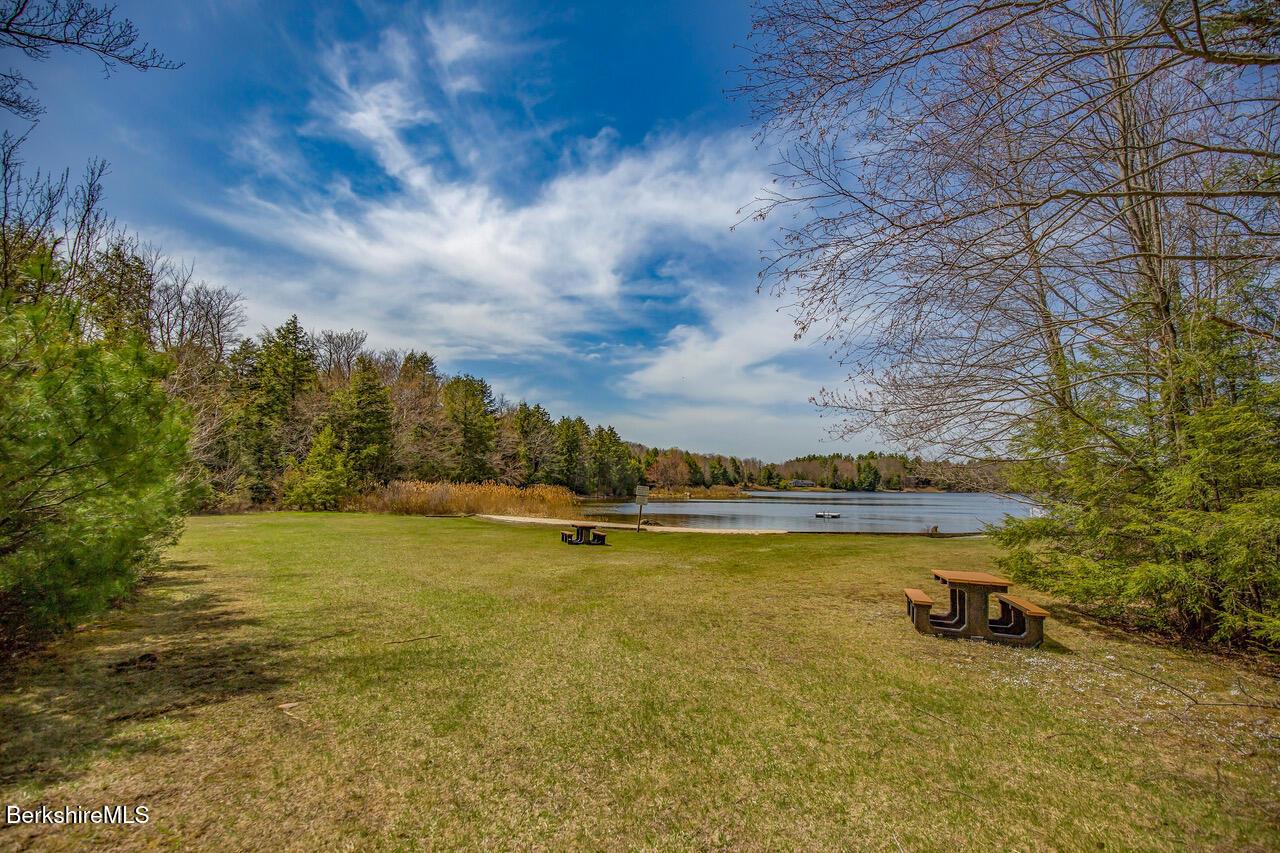 Image 2: white lily pond beach area