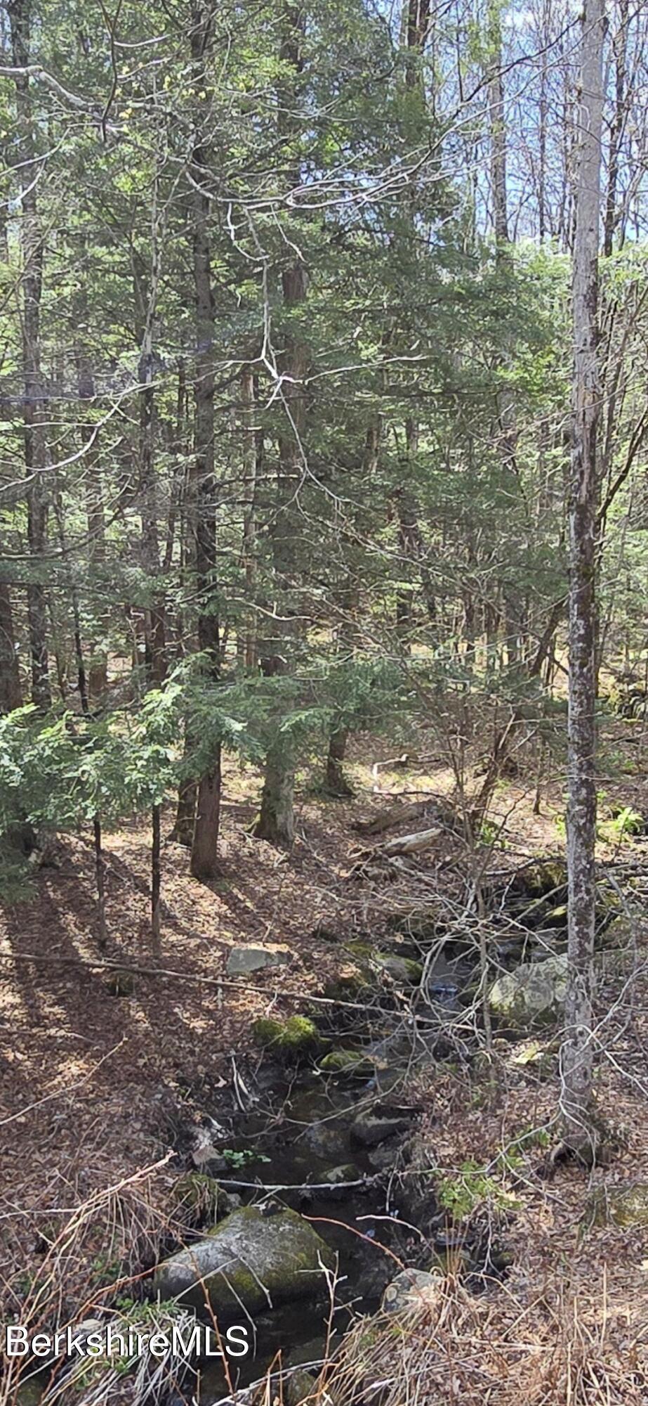 Image 2: Becket Stream