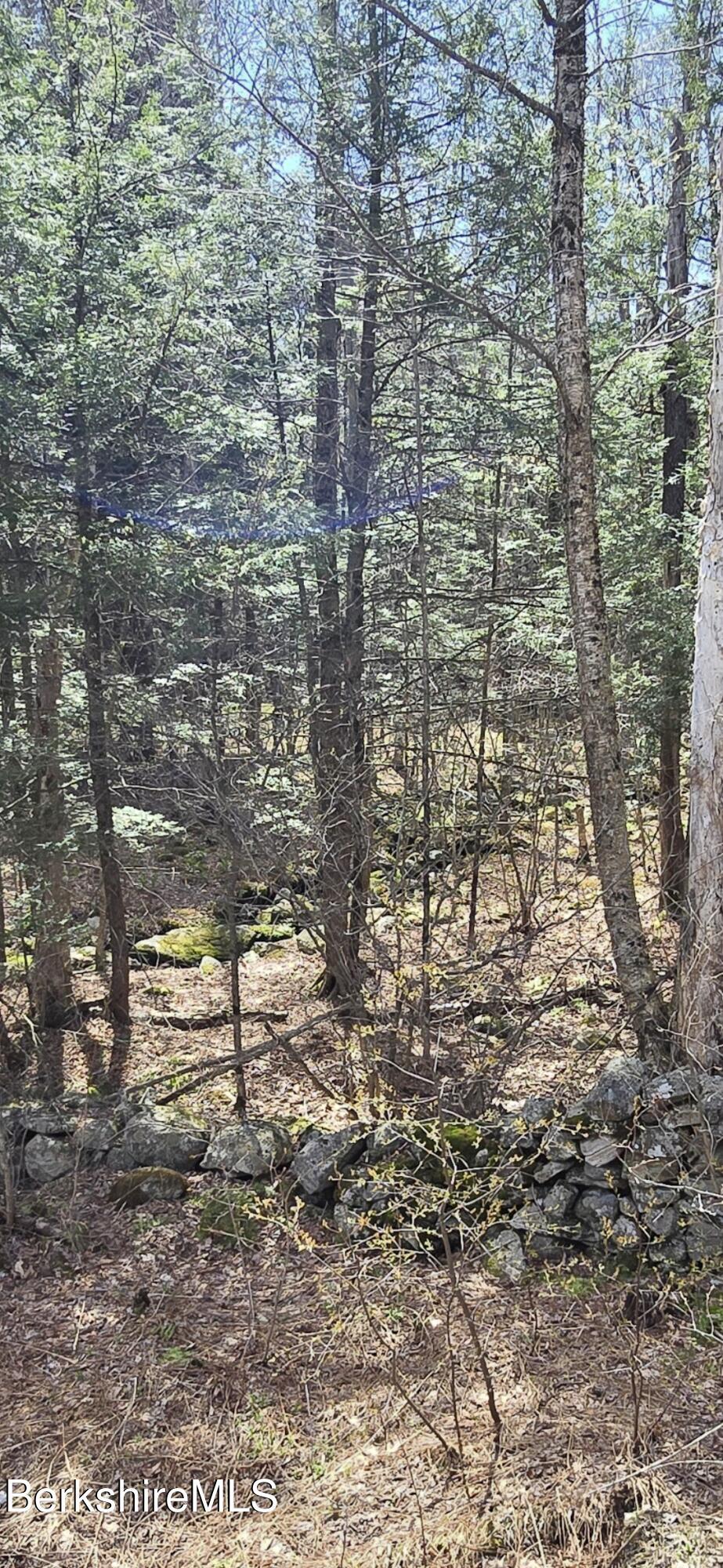 Image 3: Becket Stonewalls