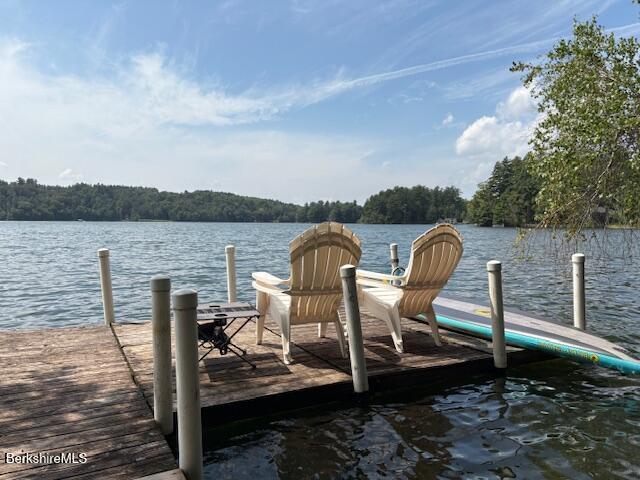 Image 4: Lake-Dock 2