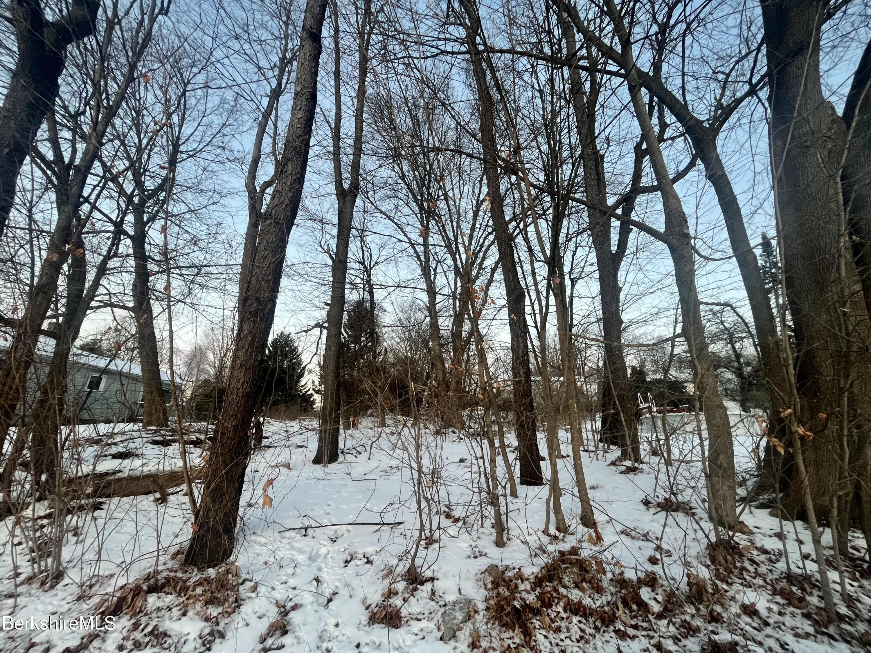 Image 3: lot