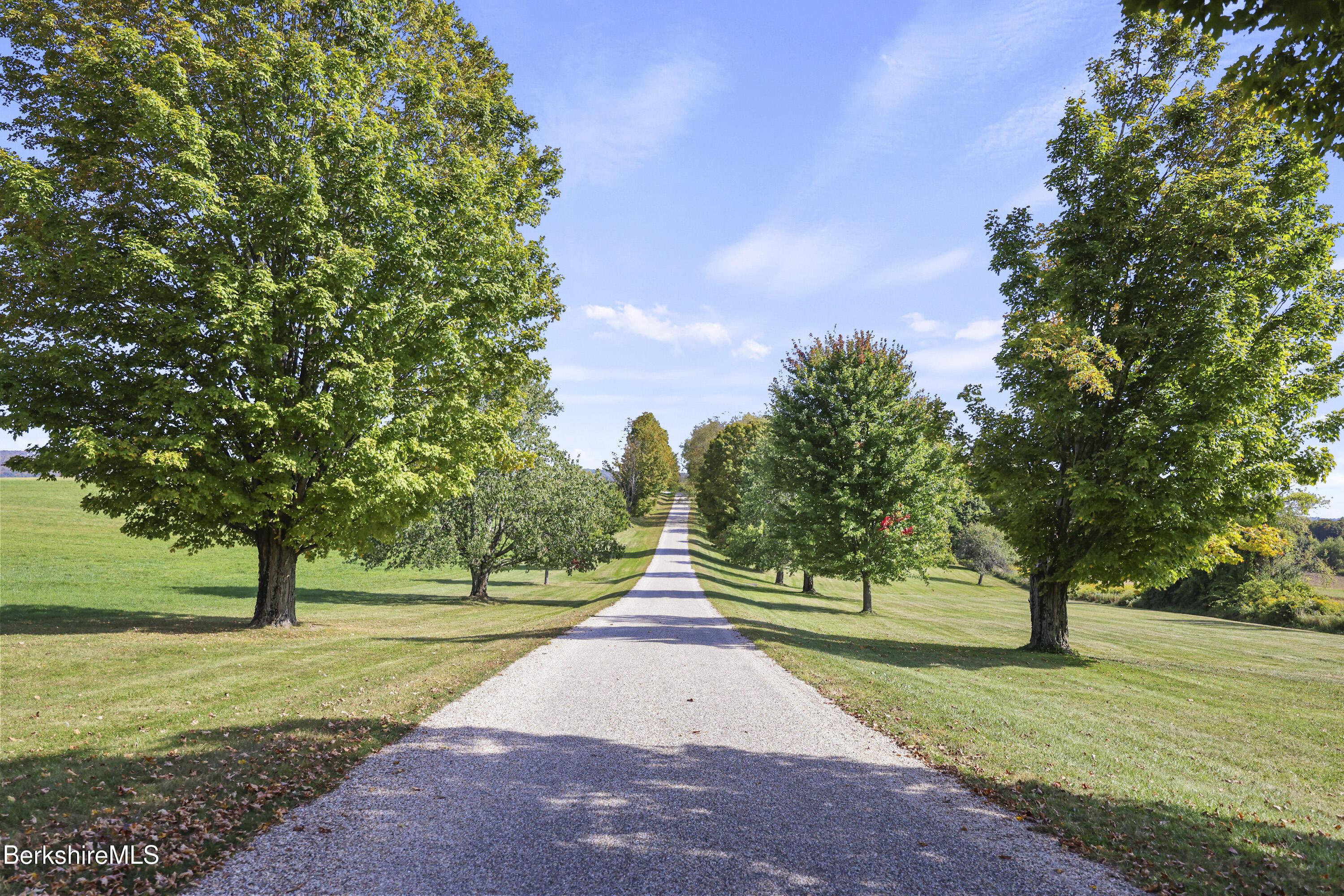 Image 2: 5 Driveway