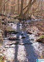 155 Acres CO RD 804