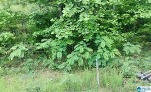 7604 AZALEA CIRCLE