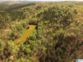 Lot 150 acres COUNTY ROAD 261