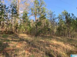 Lot 7A EASTRIDGE DRIVE
