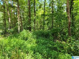 Lot #17 DOGWOOD STREET