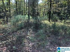 334 WARRIOR RIVER HIGHLANDS ROAD