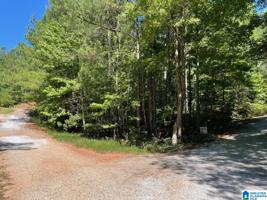 Lot 23, 24, 25, 26, 27 COUNTY ROAD 9901