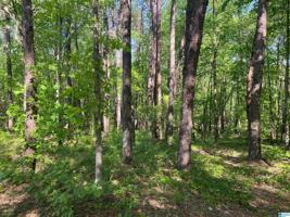 21729 HIGHWAY 278
