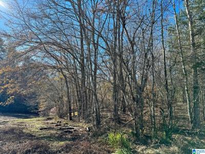 COUNTY ROAD 7