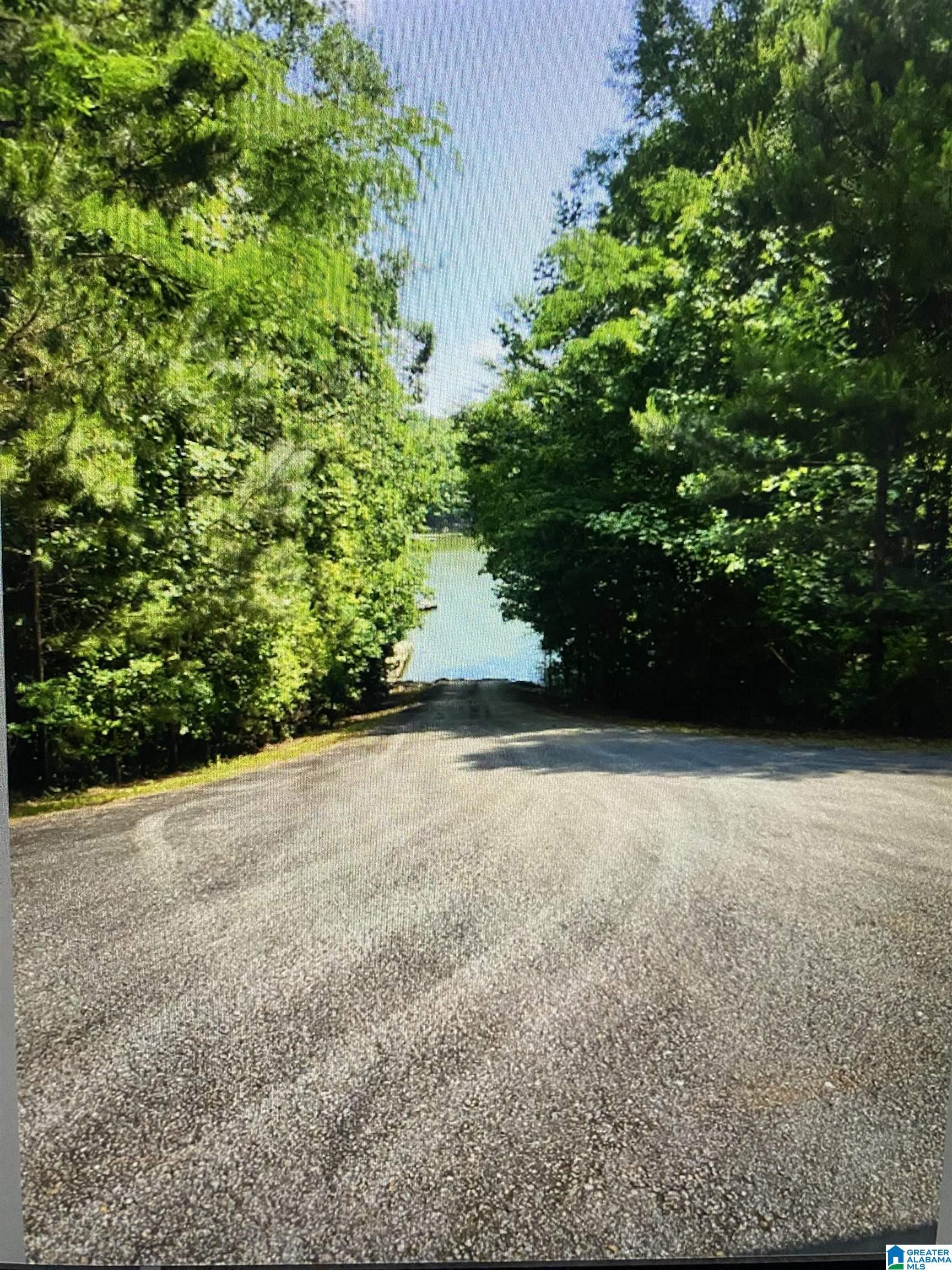 Image 4: Image 4