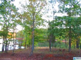 .28 Acre CO RD 2811