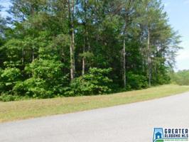 Lot 19 WRIGHT WAY DR