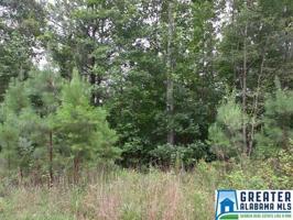 Lot 10 acres CO RD 807