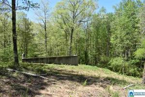 Lot 25 BLUFFS CIR