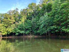 Lot 23 WILD TURKEY LN
