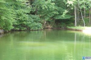 Lot 6 CO RD 804