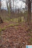 1237 SHORTOWN BRANCH ROAD