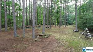 Lot 13 CO RD 2401