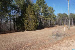 Lot 1 COUNTY ROAD 256