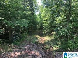 285 WARRIOR RIVER HIGHLANDS ROAD