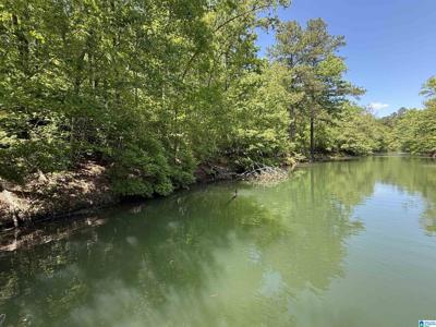 LOT 8 WINDING CREEK LANE