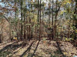 Lot 131 WILD CHERRY PARKWAY