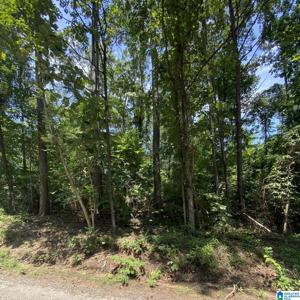 270 COUNTY ROAD 232