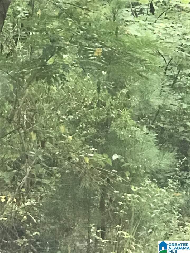 Image 2: Image 2