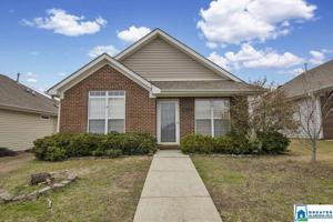 1004 VILLAGE TRL