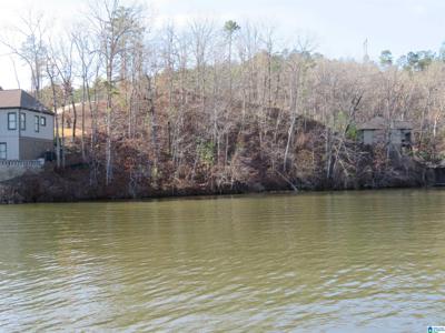 Lot 11 PRESERVE DRIVE