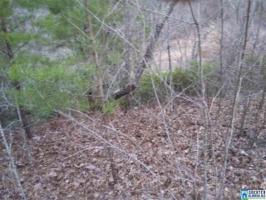 471 CO RD 289